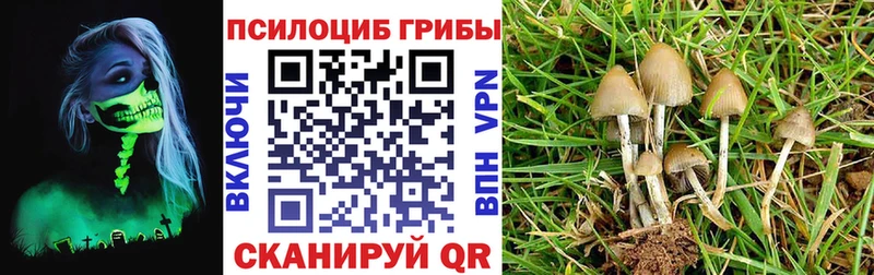 Псилоцибиновые грибы ЛСД  Калининец 